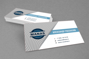 Работа 3251295