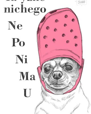 img4373851.png