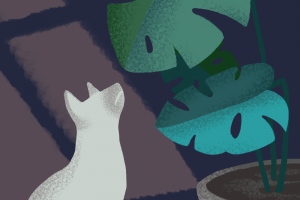 Иллюстрация натюрморт