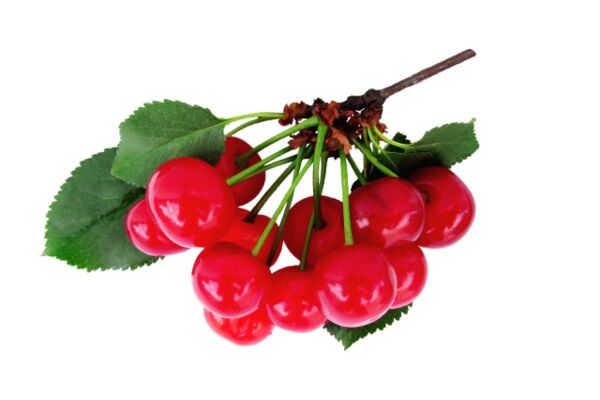 img4399248.png