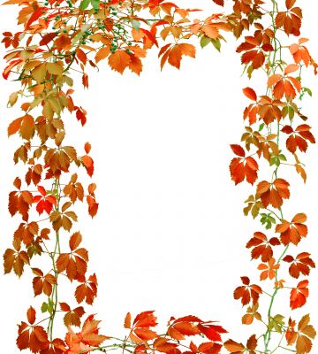 img4399229.png