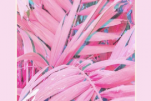 Шаблон для сторис в instagram