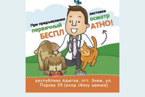 Вет. клиника - листовка