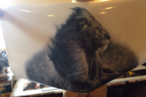 Винилография лев на двери авто