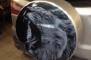 Винилография на запаску колеса автомобиля.