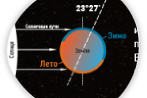 Инфографика сезонов