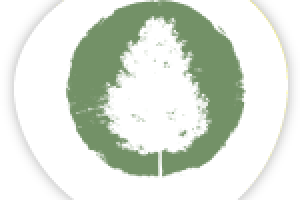 Логотип косметической фирмы