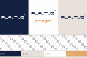 Логотип для Плавта - медиадиректор