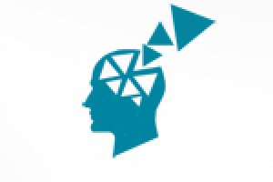 Работа 1247507