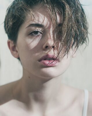 img3677444.png