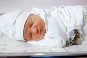 Работа 4003558