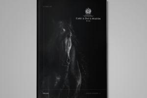 Каталог для "Carr & Day & Martin".