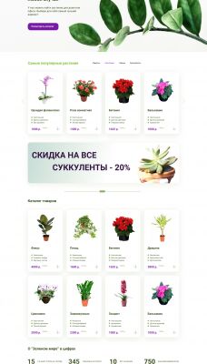 img4079662.png