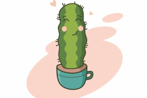 милый кактус