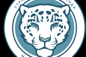 Эмблема для страйкбольной команды