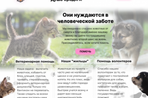 Приют для животных