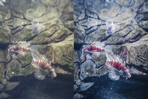 Цветокоррекция