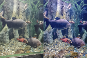 Цветокоррекция