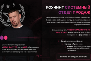 "Системный отдел продаж" для Люди Дела