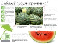 img1951376.png