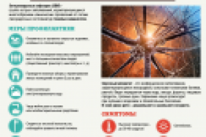 Инфографика "Внимание, менингит!"