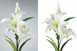 Обтравка фото