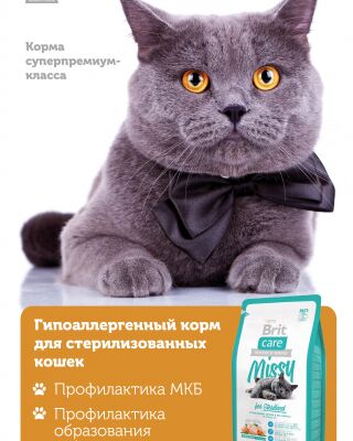 img3496034.png