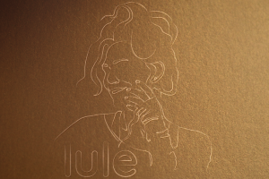 Линейный логотип lule