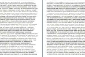 Фрагмент конференции