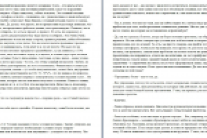 Фрагмент конференции