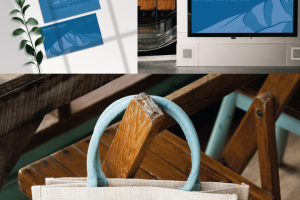 Фирменный стиль "Полюс холода"