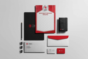 фирменный стиль_сол