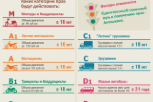 Инфографика "Категории прав"