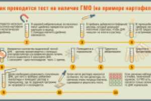 Инфографика "ГМО"
