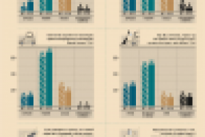 Инфографика ВЦИОМ «СОЦИАЛЬНОЕ САМОЧУВСТВИЕ: ИТОГИ ЗИМЫ»
