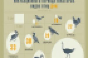 Инкубационный период