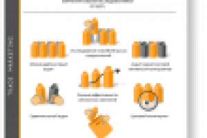 Power Point Презентация в стиле "Инфографики"