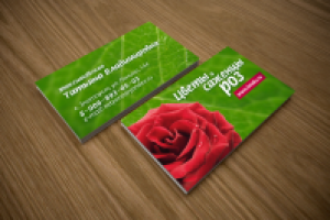 Работа 1662120