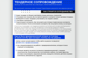 Коммерческое предложение для тендерной компании_односторонее