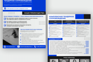 Коммерческое предложение для тендерной компании_двустороннее