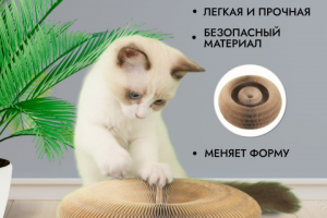 Дизайн карточек WB