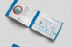 Брендбук ДОСААФ России