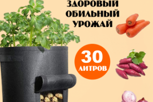 Мешок для выращивания овощей