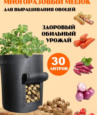 img4435707.png