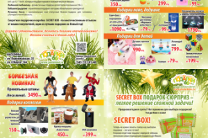 Листовка Зима