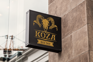 Koza