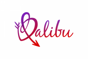 Логотип для сайта знакомств "Balibu"