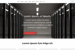 Landing сайта по услугам серверов (заказ)