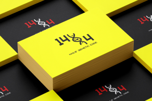 Работа 4081043