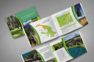 Проект застройки земельного участка